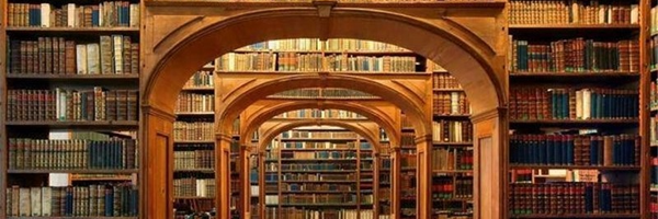 تصویر سربرگ نمایه‌ی ‌علی رضایی‌