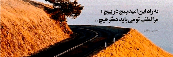 تصویر سربرگ نمایه‌ی ‌MY IRAN 313‌