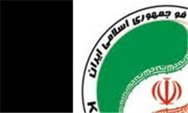 فدراسیون کونگ فو