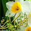 Profile picture of ‌راحیل نامور‌