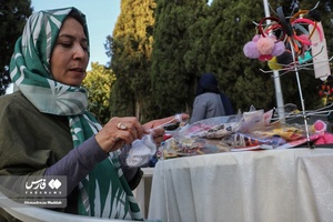 نمایشگاه توانمندی های جامعه معلولین استان فارس