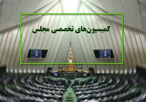 کمیسیون های مجلس 