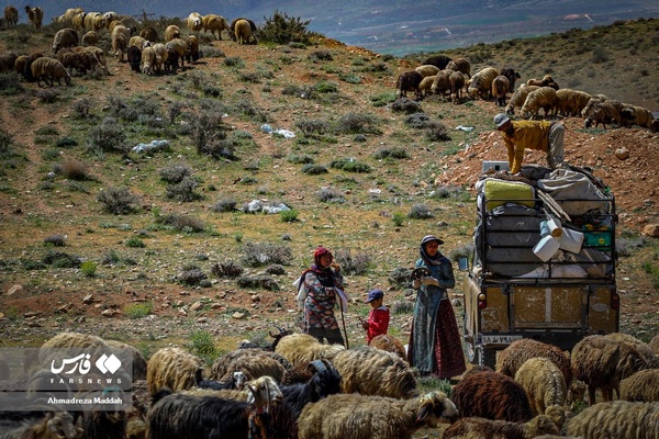 کوچ بهاره «عشایر فارس»