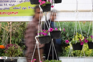 گل‌های بهاری مهمان‌خانه اصفهانی‌ها