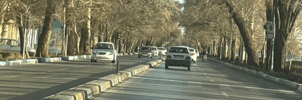 تصویر سربرگ نمایه‌ی ‌سان فلاور‌