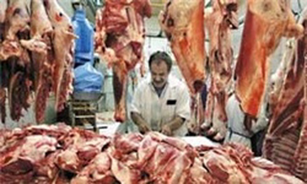 گوشت