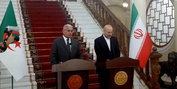 سیاسی