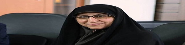 مشاور وزیر