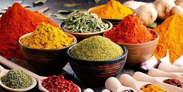 گیاه دارویی