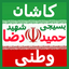 تصویر نمایه‌ی ‌حمیدرضا وطنی‌