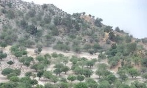 منابع طبیعی