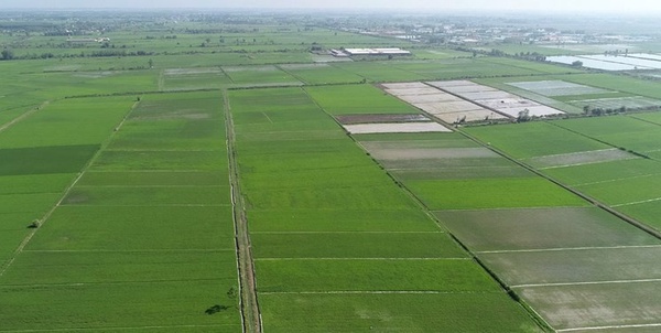 تغییر کاربری