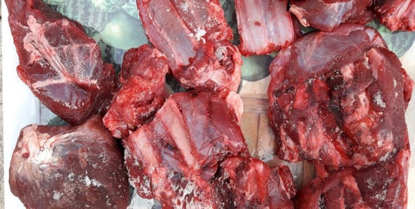 دستگیری قاچاقچی گوشت حیوانات وحشی در فرودگاه شیراز