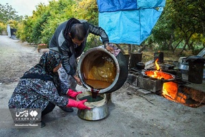تهیه رُب انار 