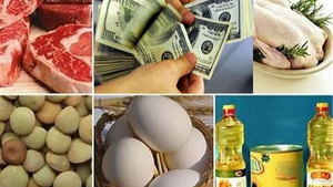 وام ارزی ۶۰ میلیون دلاری برای تأمین کالاهای اساسی