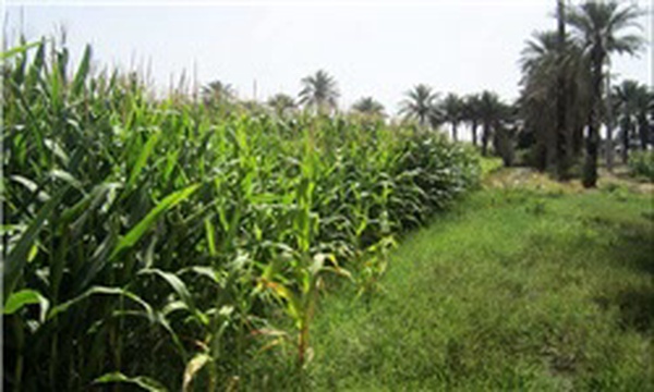 منابع طبیعی