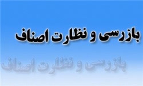 بازرسی و نظارت اصناف - خراسان جنوبی
