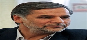 نقوی حسینی