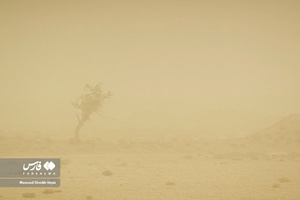 هجوم طوفان به «سیستان»