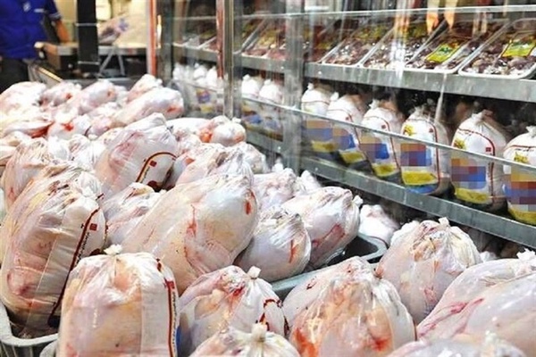 کالای اساسی مرغ