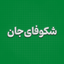 تصویر نمایه‌ی ‌🇮🇷 شکوفای‌جان|سبک زندگی اسلامی‌