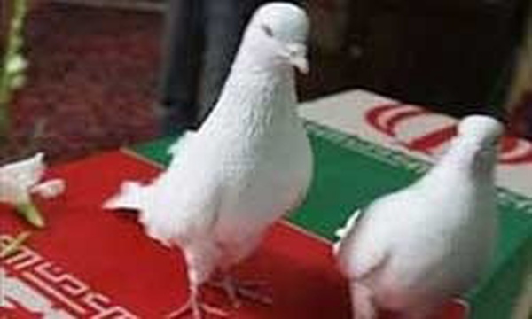 مادران شهدا