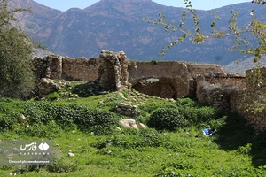 روستای الیف در شهر کمارج کازرون