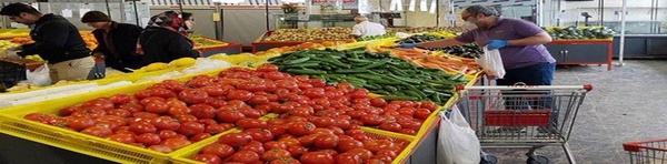 میوه تره بار