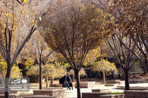 روزهای پاییزی بوستان نماز شیراز 