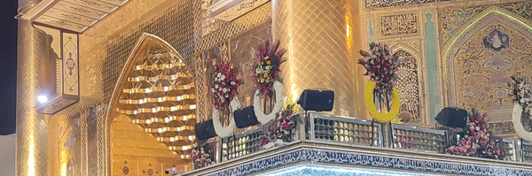 تصویر سربرگ نمایه‌ی ‌محمدامین نصیری‌