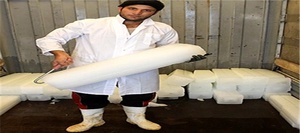 کارخانه یخ سازی در ورامین