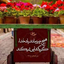 تصویر نمایه‌ی ‌حسین بصیری پور‌