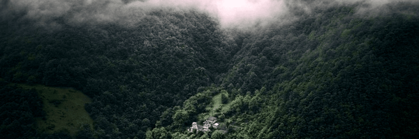 تصویر سربرگ نمایه‌ی ‌ایستاده در غبار‌