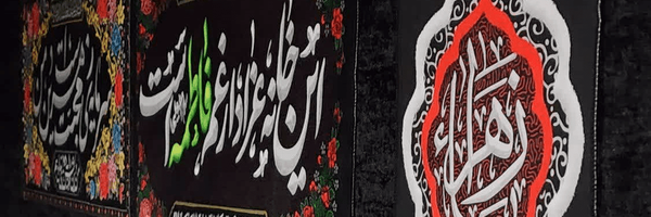 تصویر سربرگ نمایه‌ی ‌امیرعلی فضلعلی‌