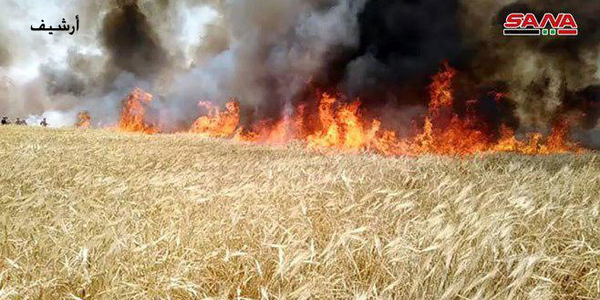 سوریه الحسکه