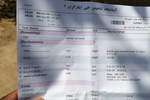 آزمایش هپاتیت