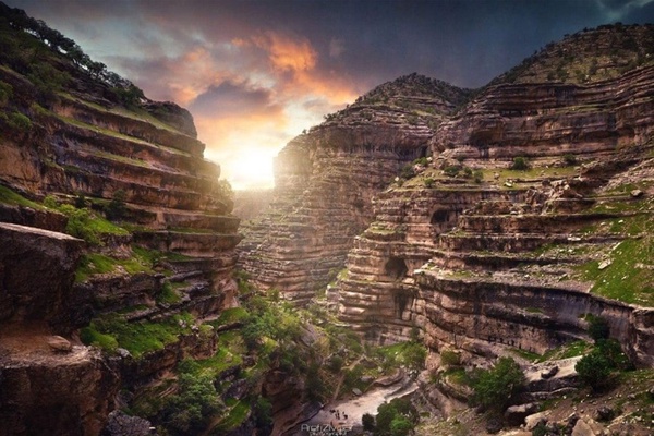 شیرز طبیعت 