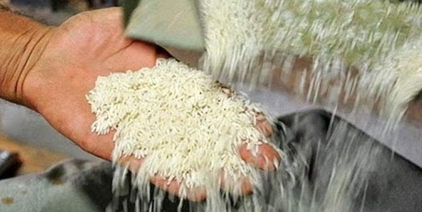برنج