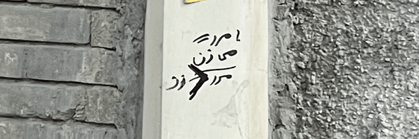 تصویر سربرگ نمایه‌ی ‌بانو نبوی‌