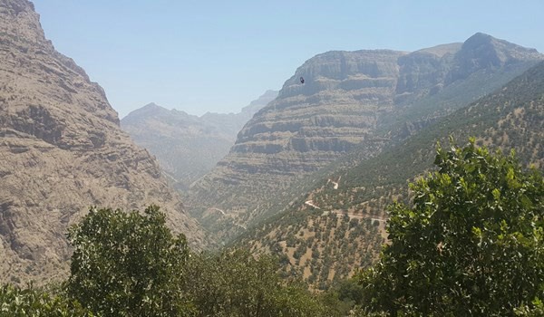 جاده بیشه