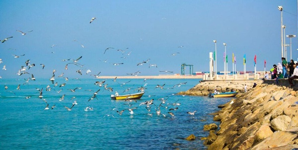 ساحل بوشهر