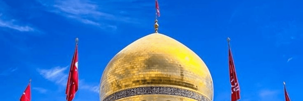 تصویر سربرگ نمایه‌ی ‌سلمان مهدوی‌