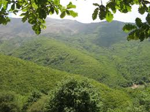 منابع طبیعی 