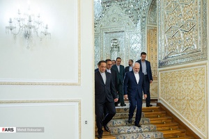 دیدار رئیس کمیسیون سیاست خارجی مجلس ایتالیا با وزیر امورخارجه