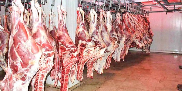 گوشت قرمز