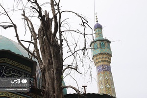 1000 سال همنشینی