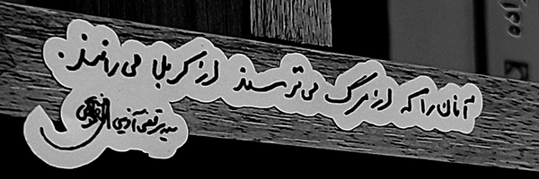 تصویر سربرگ نمایه‌ی ‌شایان میرزایی‌