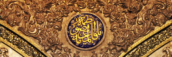 تصویر سربرگ نمایه‌ی ‌زهرا سادات صحفی‌