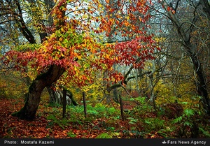 منطقه چهار دانگه ساری. روستاهای الندان و کیاده