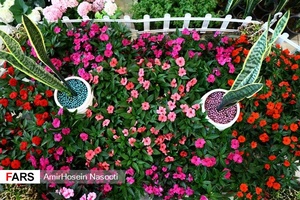 نمایشگاه گل و گیاه زنجان